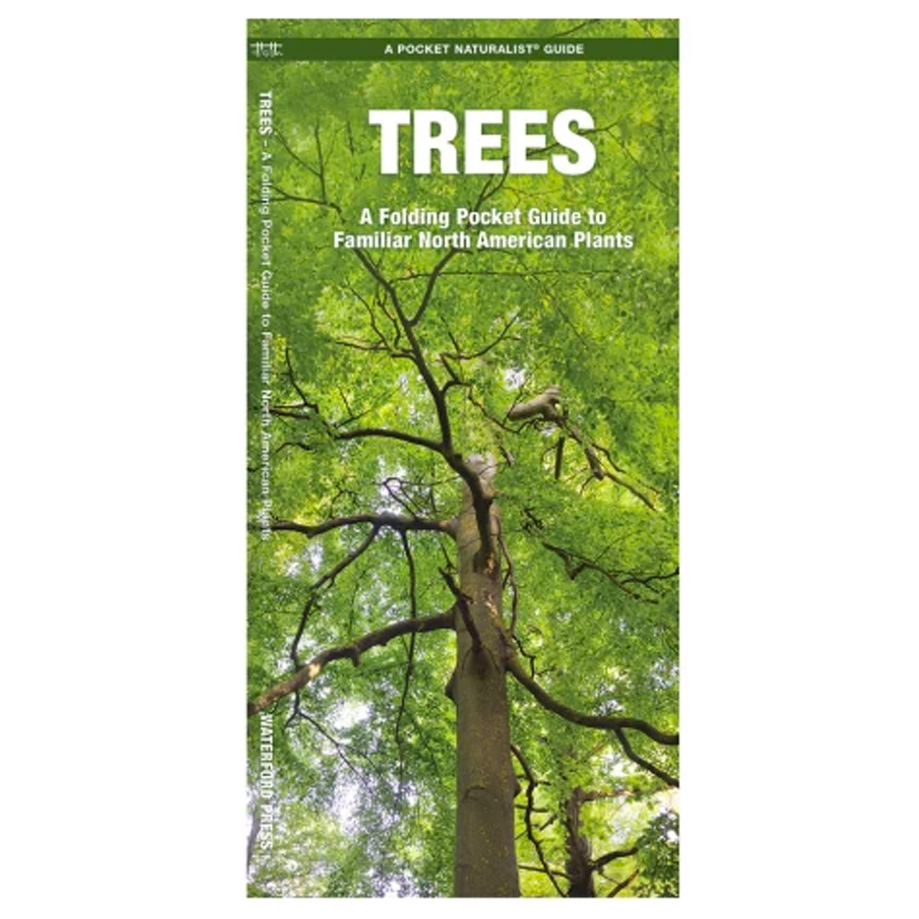 TREES POCKET GUIDE