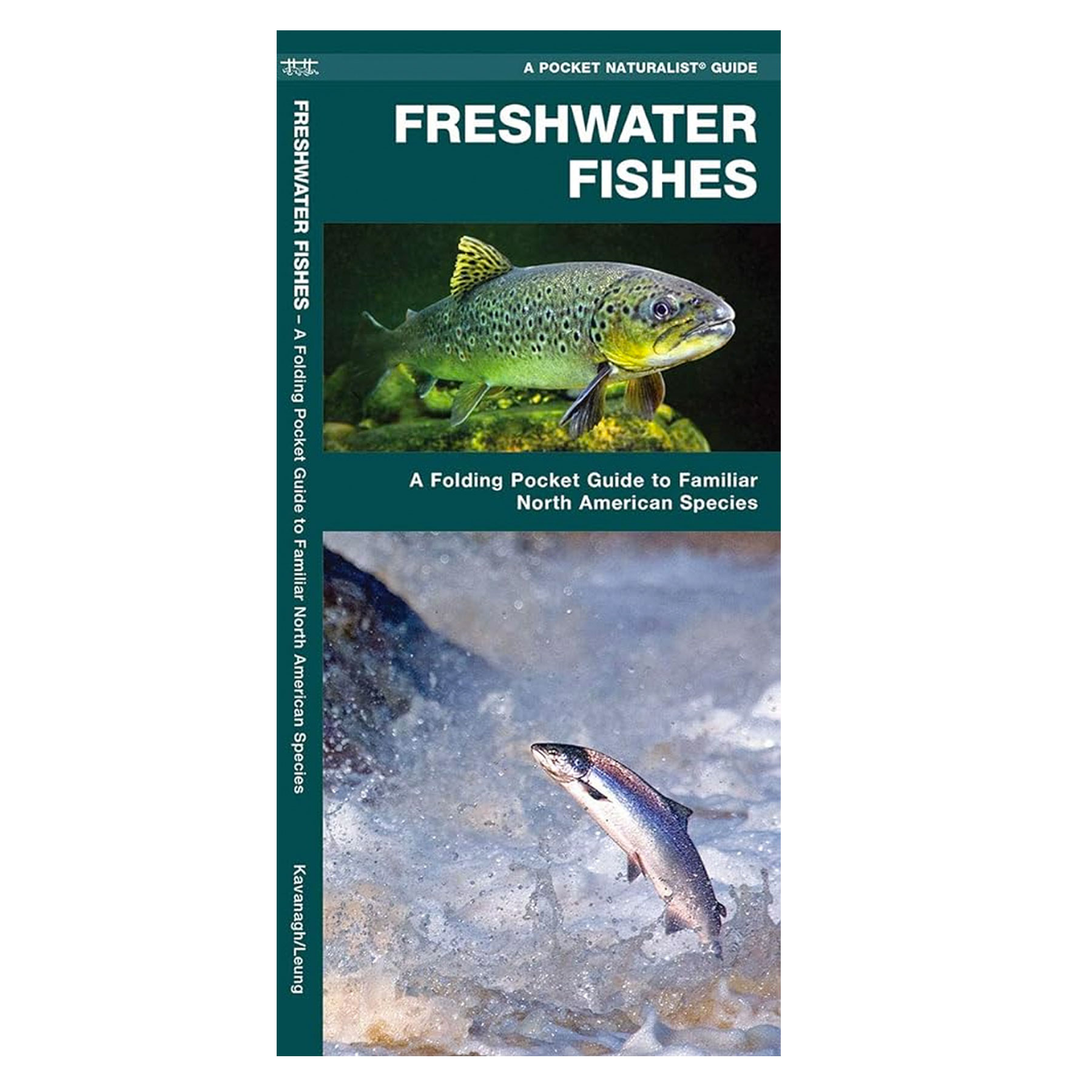 FRESHWATER FISH POCKET GUIDE