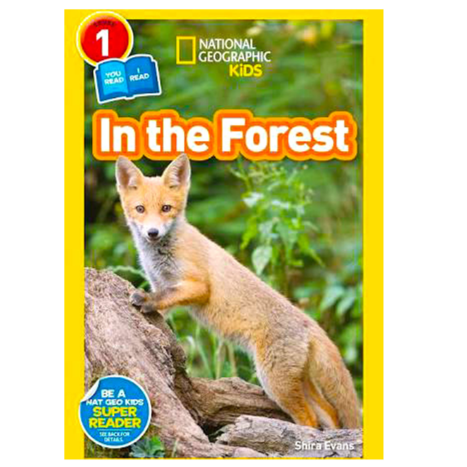 IN THE FOREST NAT GEO BOOK