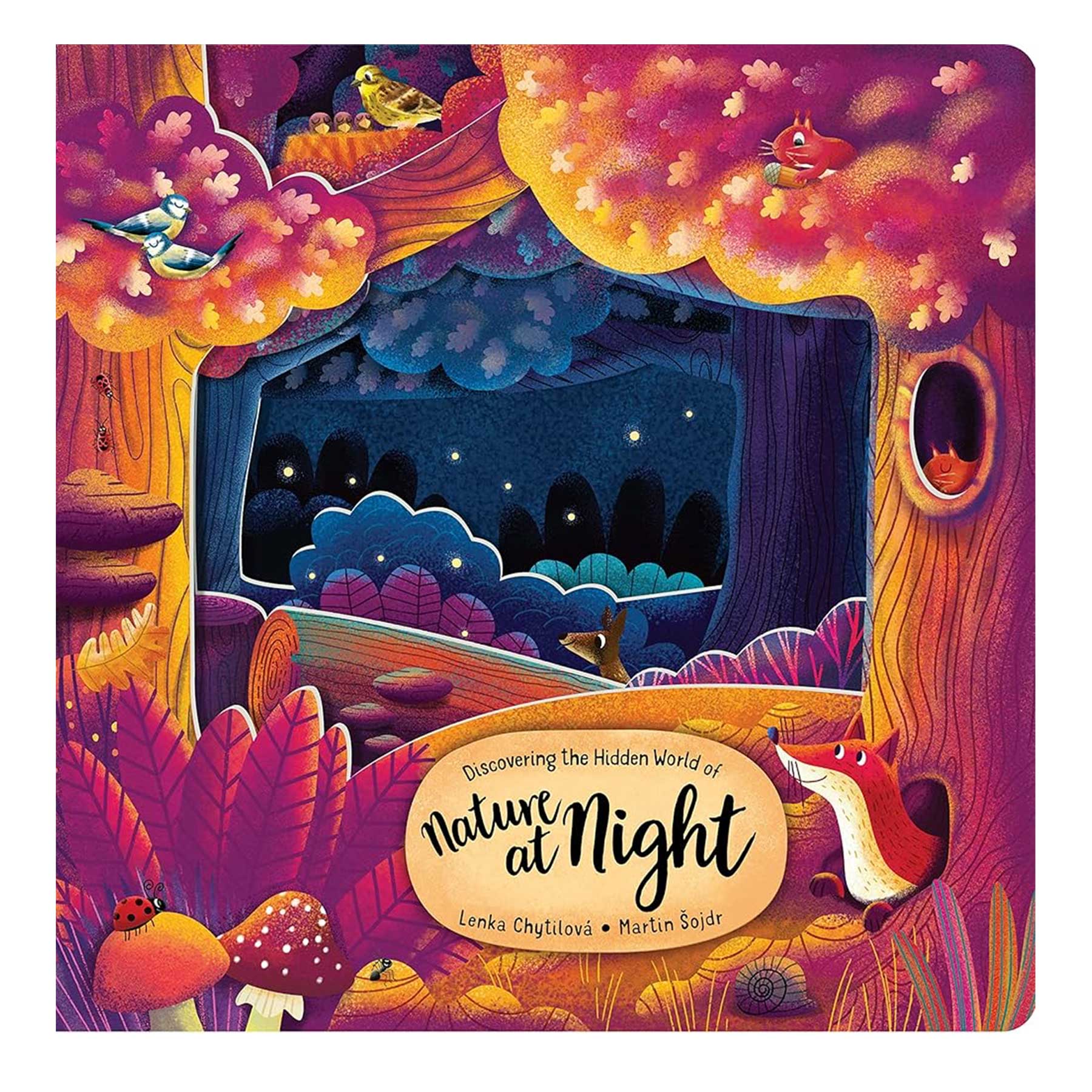 DISCOVERING NATURE AT NIGHT KIDS BOOK