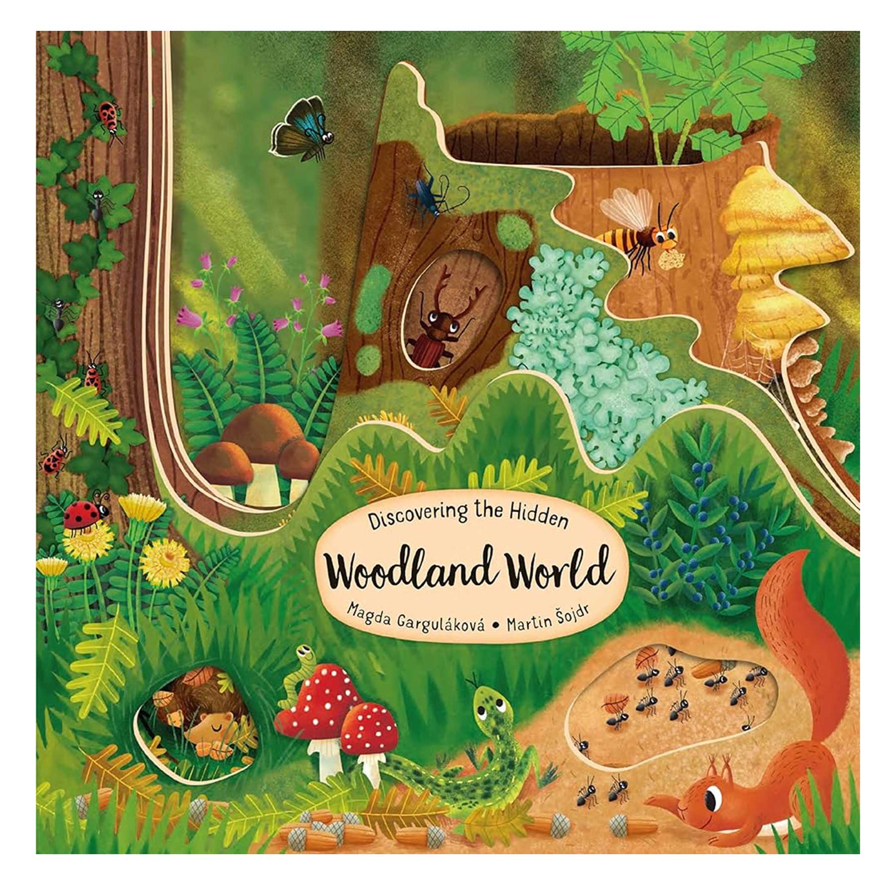 DISCOVERING WOODLAND WORLD KIDS BOOKS