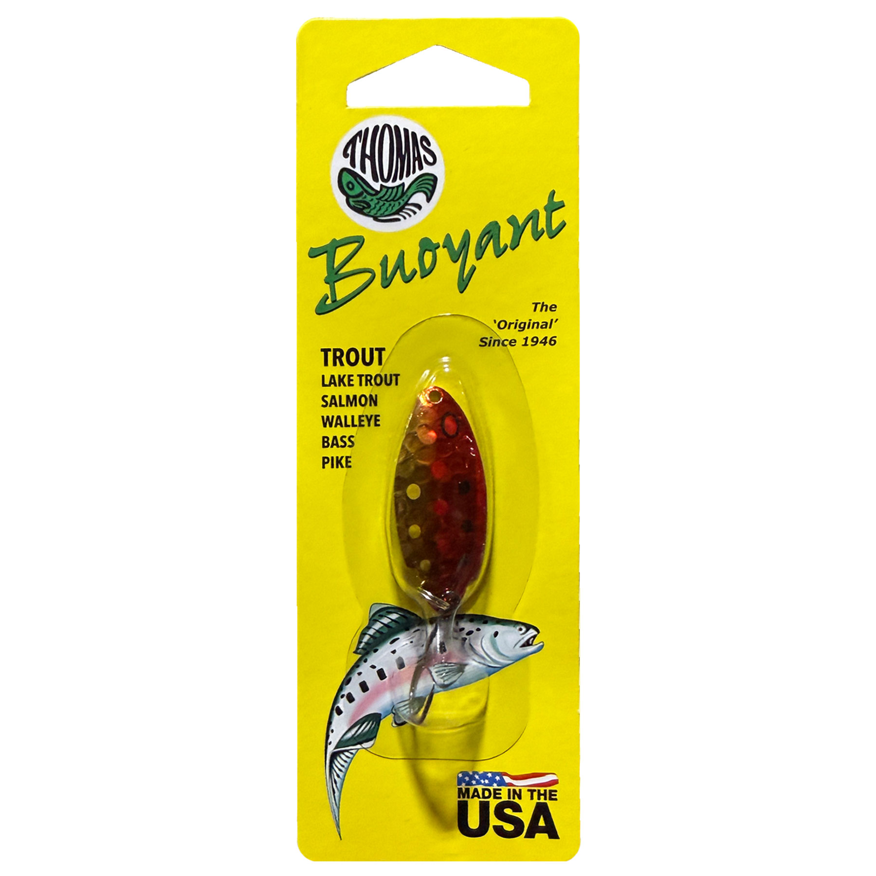 Wilcor International Wholesale Importer, Outdoor Gear,Camping, Collectable  Gifts