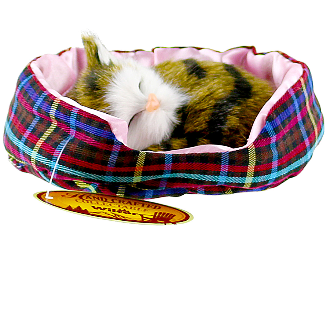 {0} FUR CAT IN BED 5