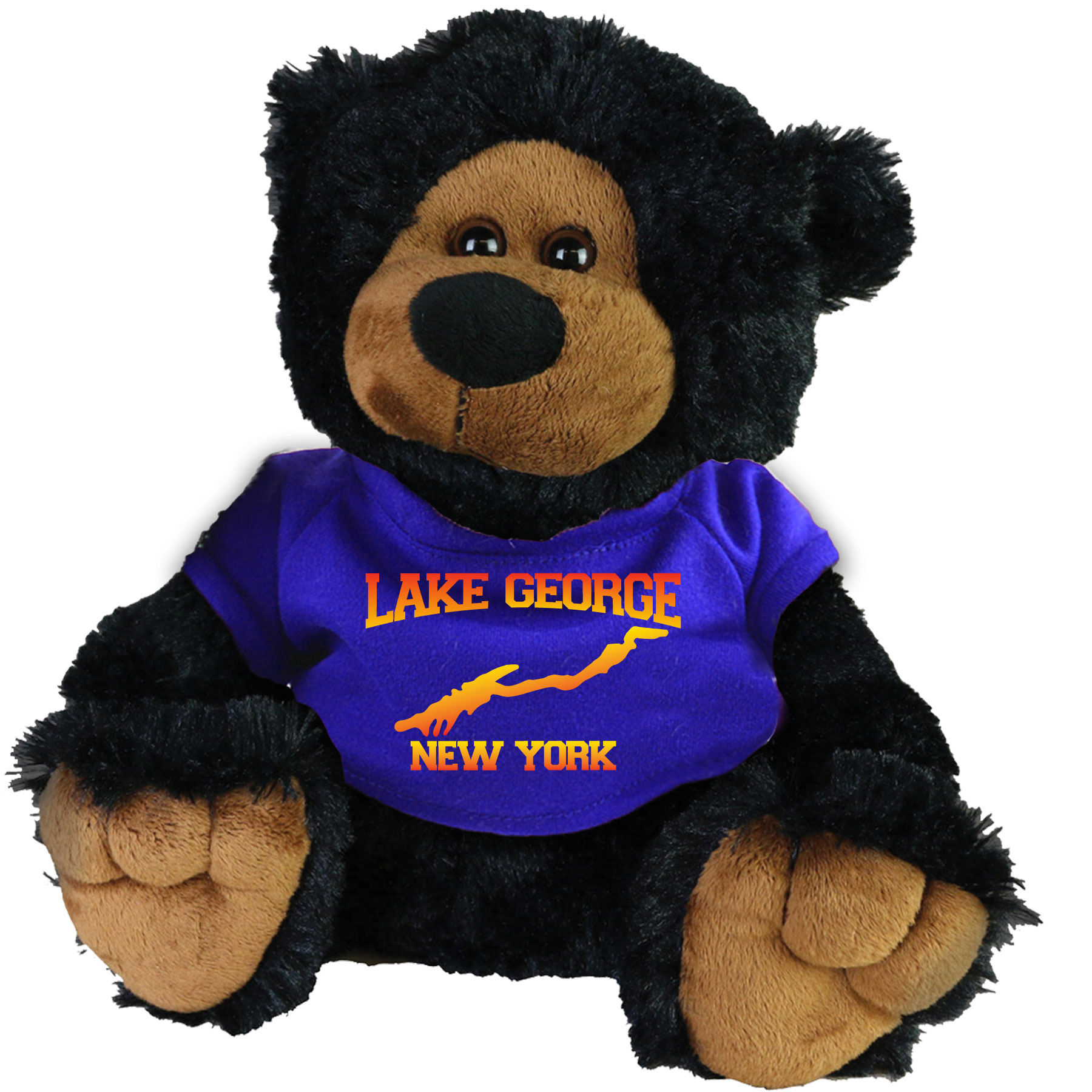 LAKE GEORGE BUDDY BEAR 10