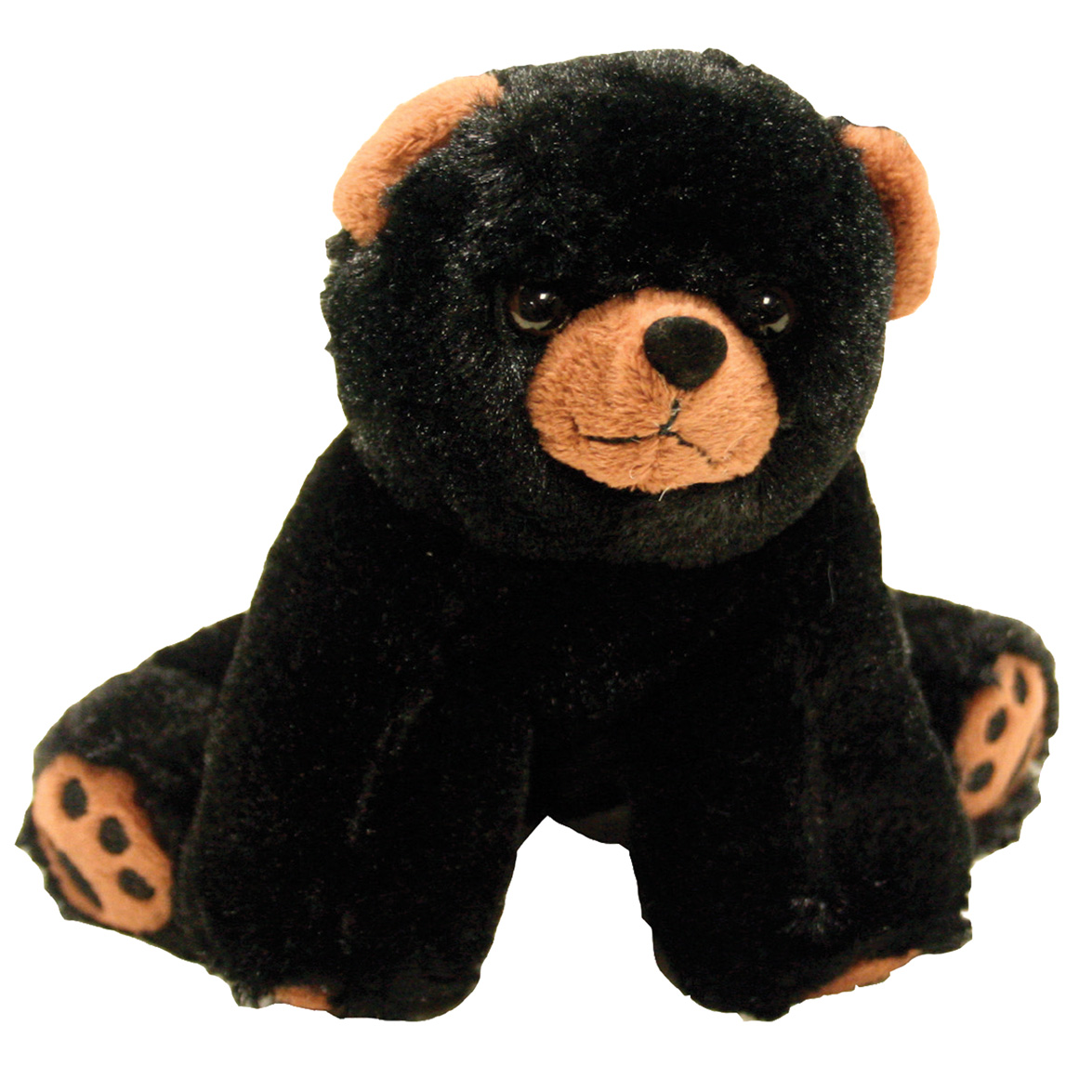 PAWS BLACK BEAR 6