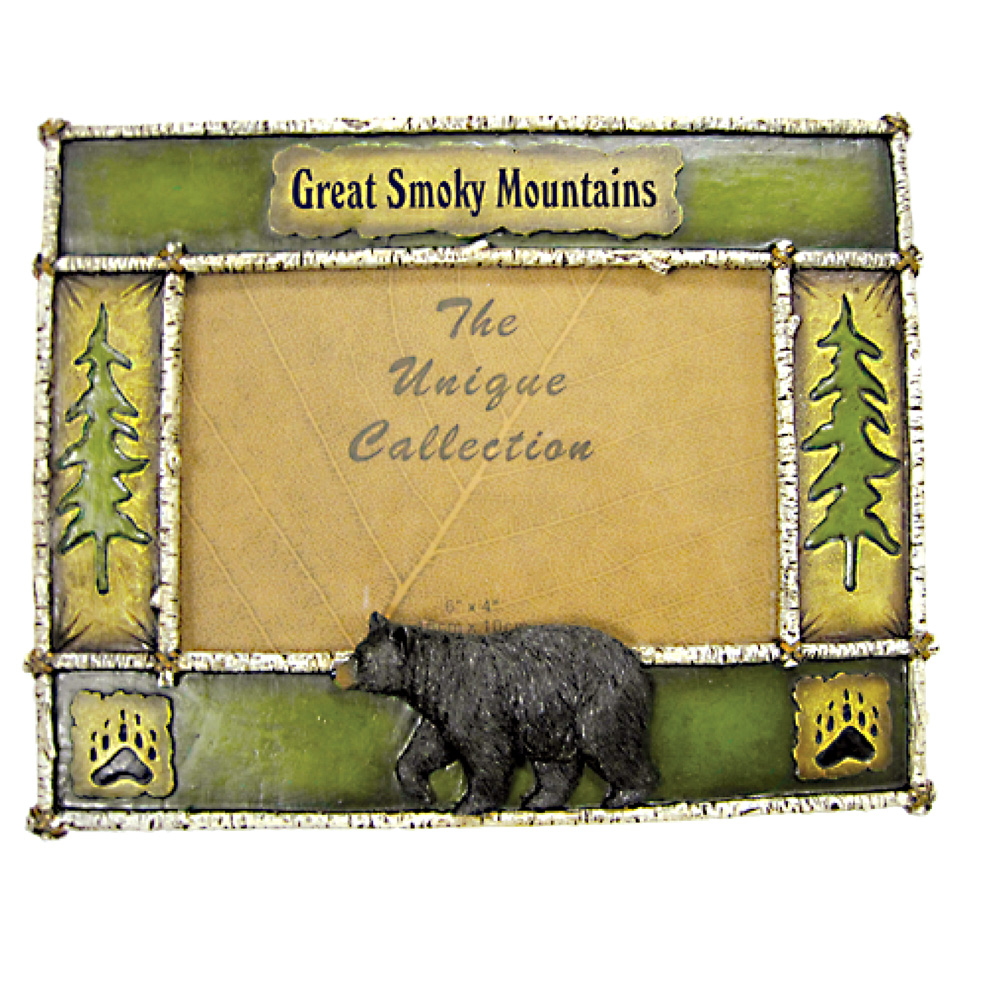 FRAME BEAR SMOKY MTNS