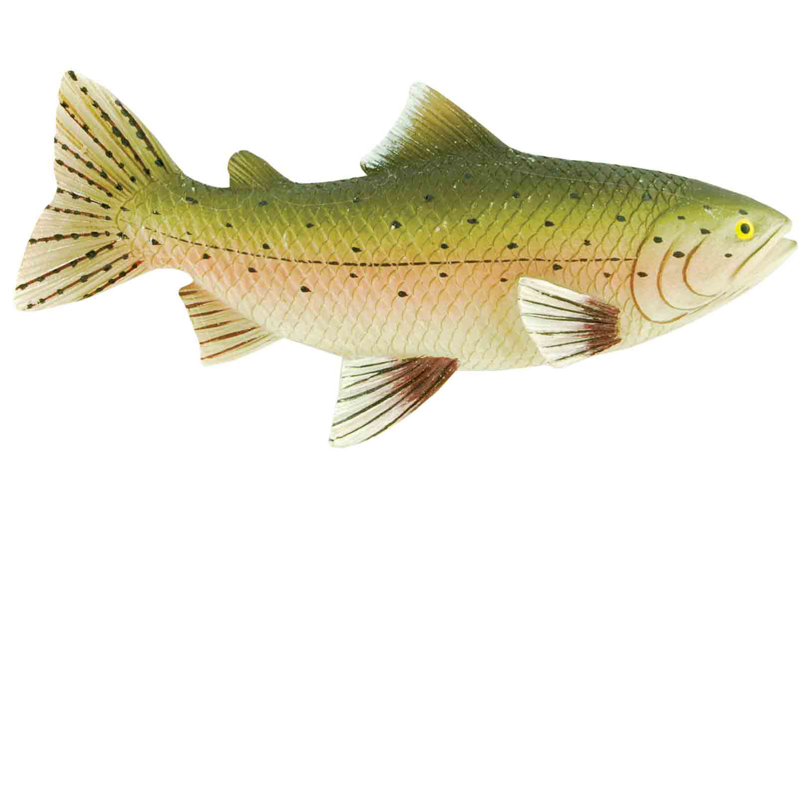 TROUT MGNET 4
