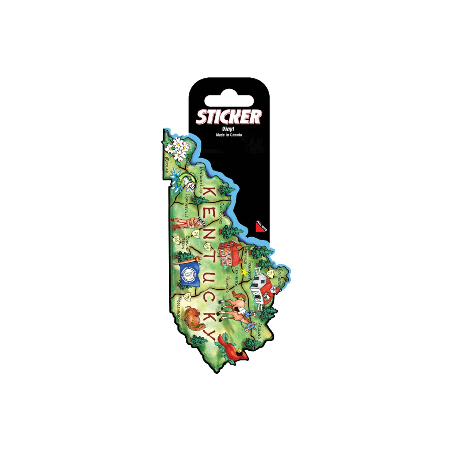 KENTUCKY STATE STICKER 24/BL