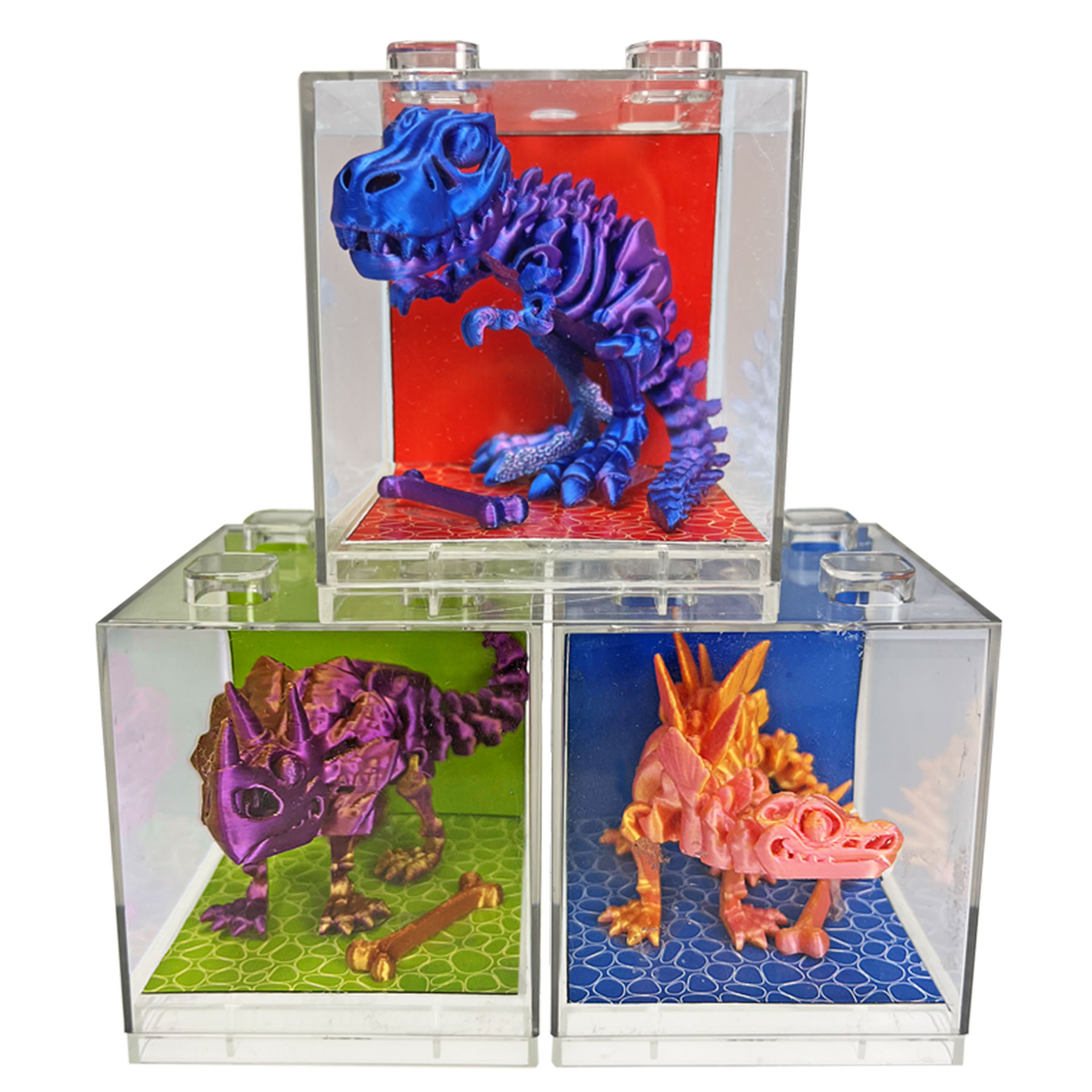 DINO BATTERピクチャーフレーム DINO BATTERピクチャーフレーム DINO BATTERピクチャーフレーム